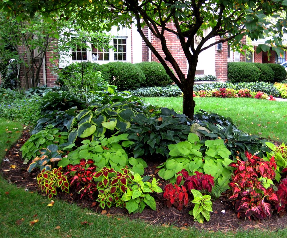 Impressive Diy Flower Beds