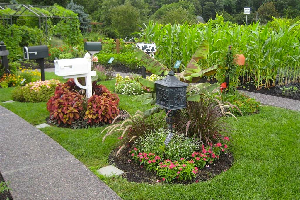 My Garden