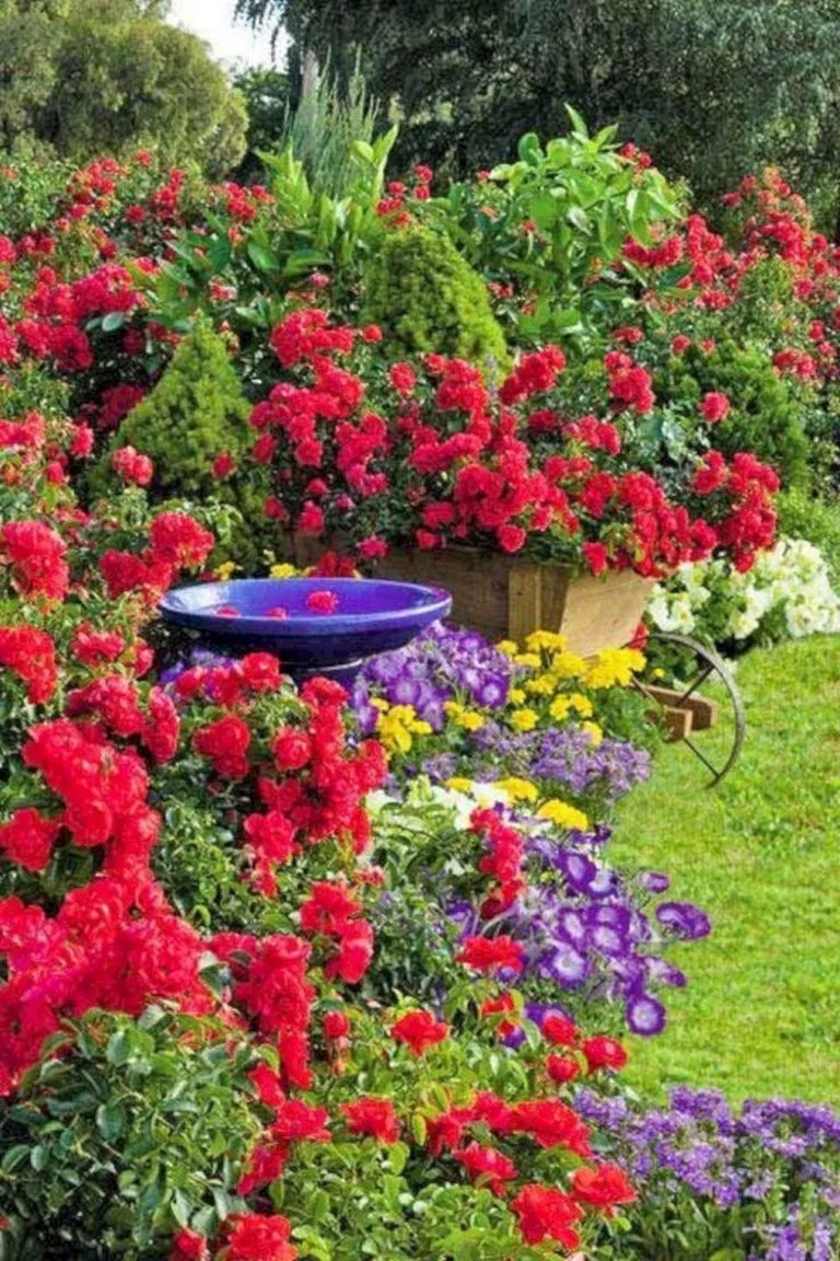 Your Own Rock Garden