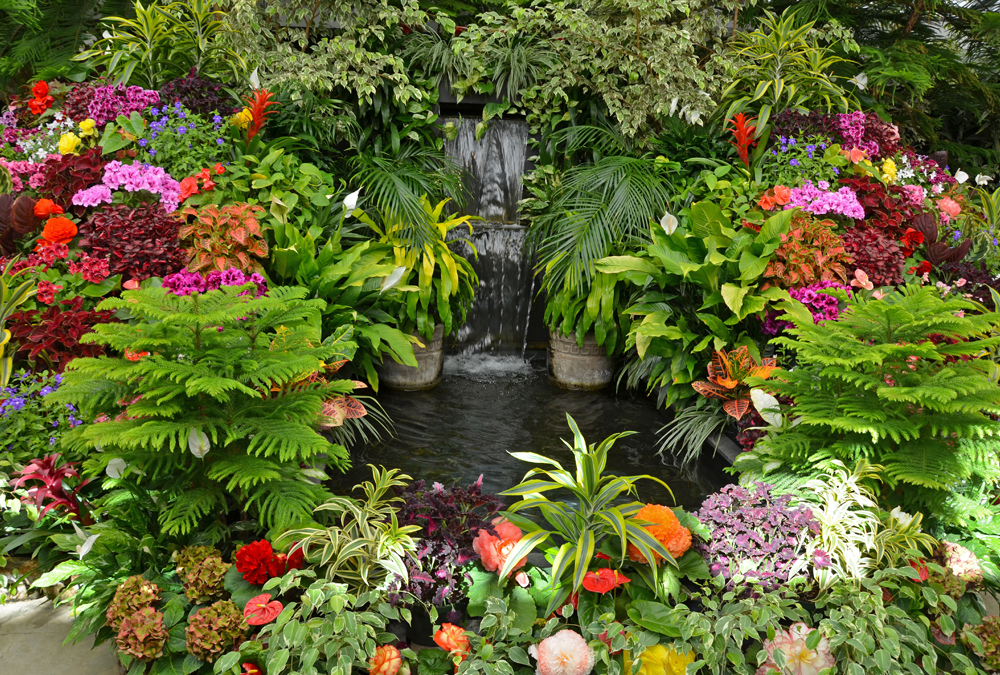 Small Space Cut Flower Garden Ideas