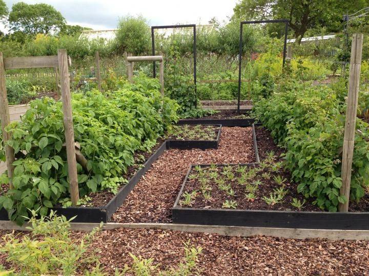 French Potager Garden Ideas Fancydecors