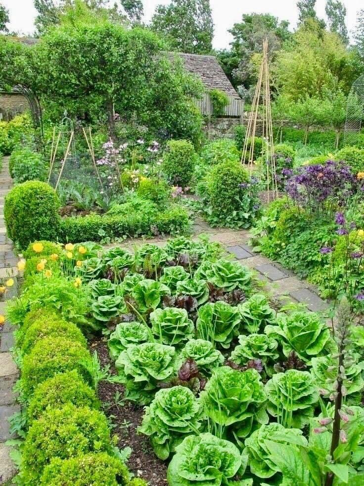 Most Popular Kitchen Garden Design Ideas