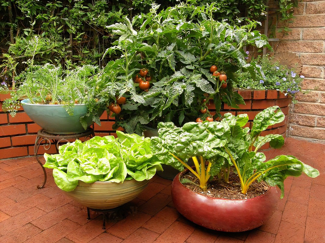 Garden Kitchen Floral