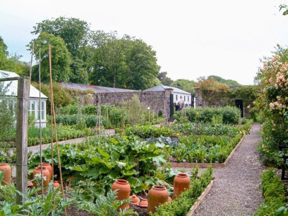 A Kitchen Garden