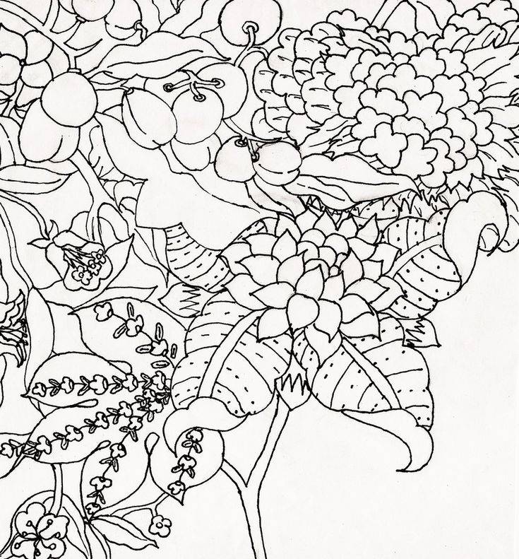 Flower Drawings