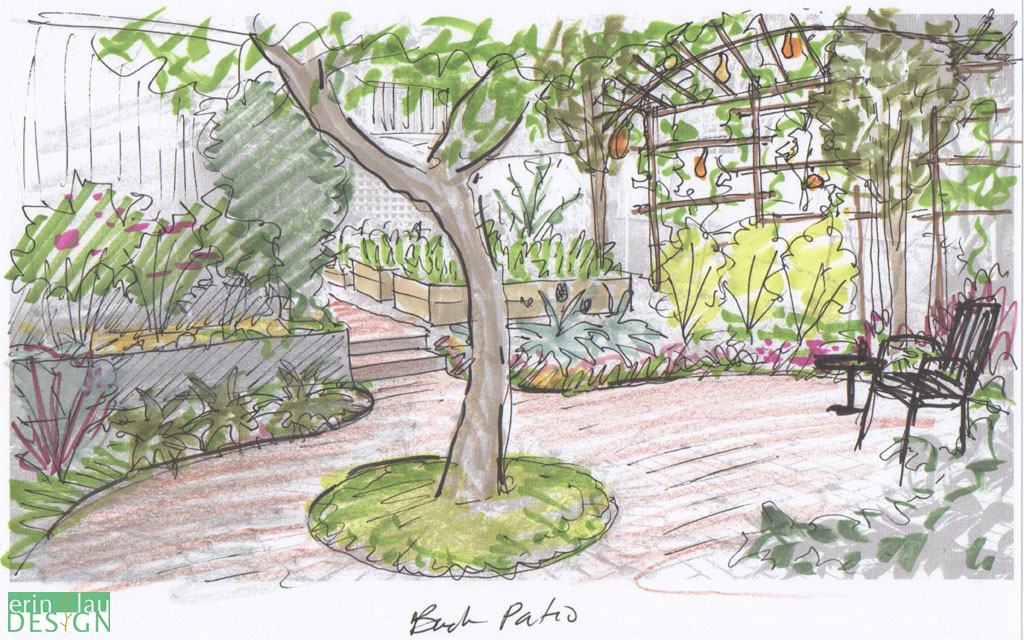 Flowers Drawing Sketches Wild Ideas