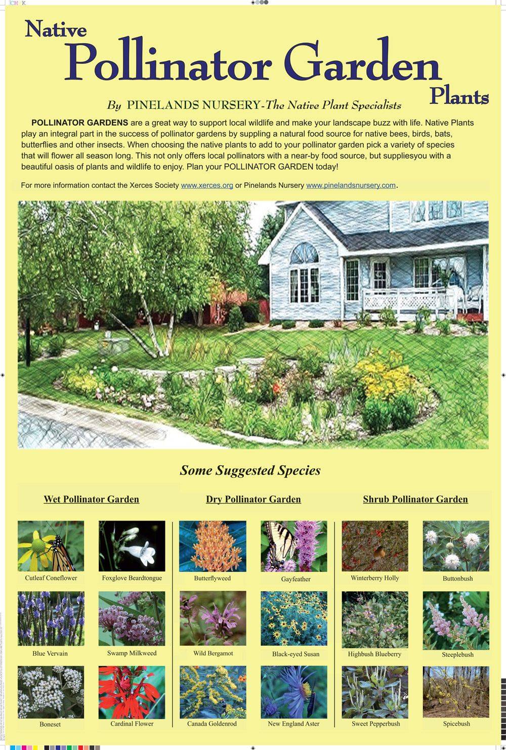 Native Plant Gardening