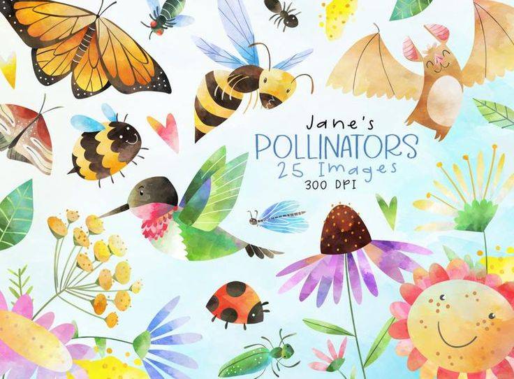 Ohio Native Plant Month