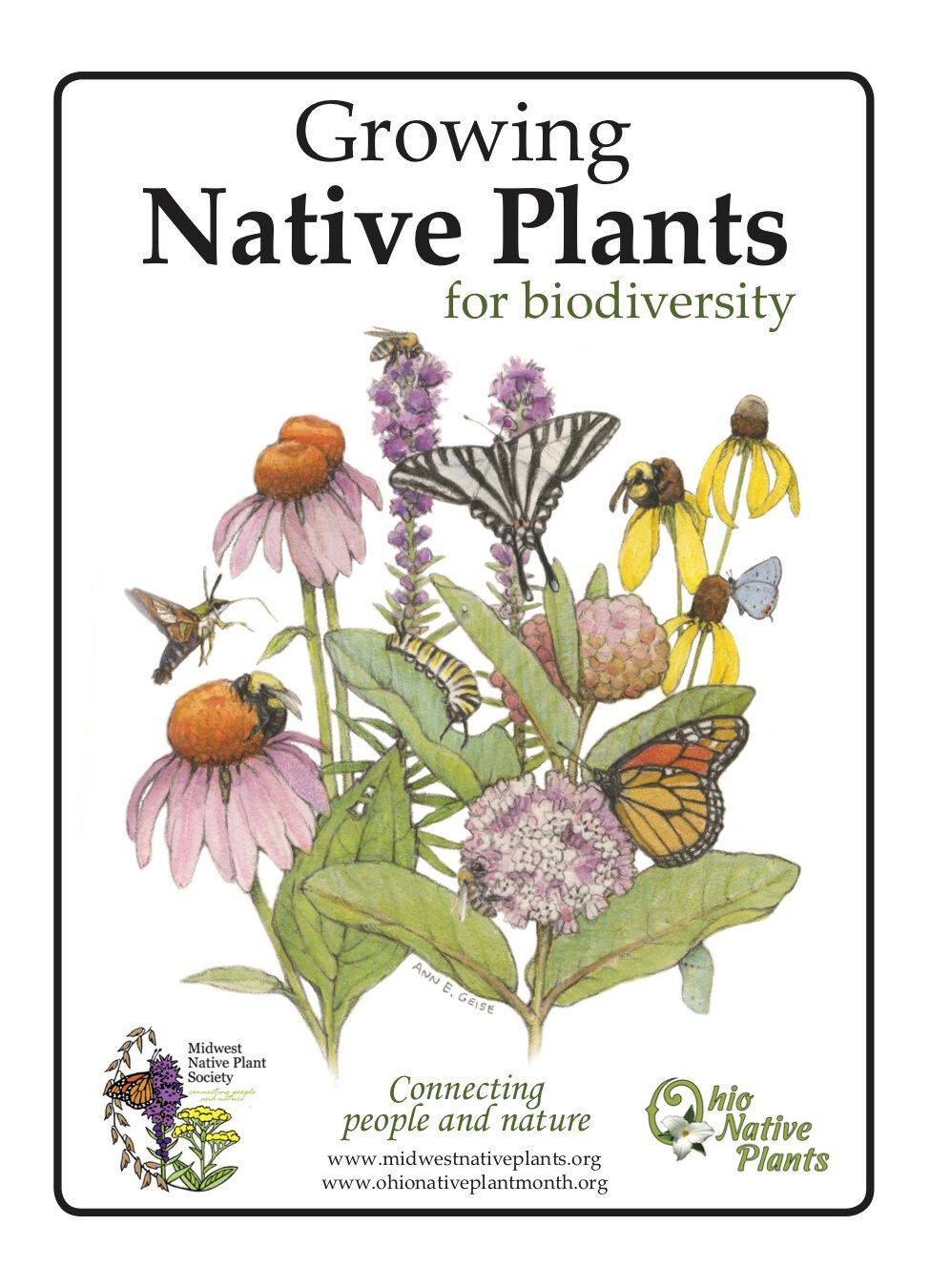 Pollinator Garden Recipe