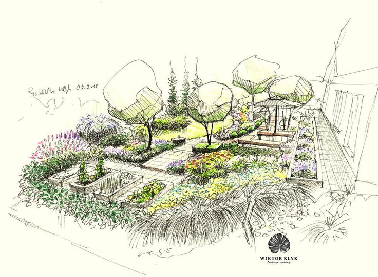 Point Perspective Step