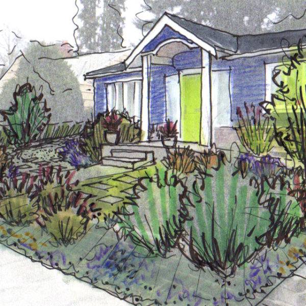 A Landscape Designer Garden