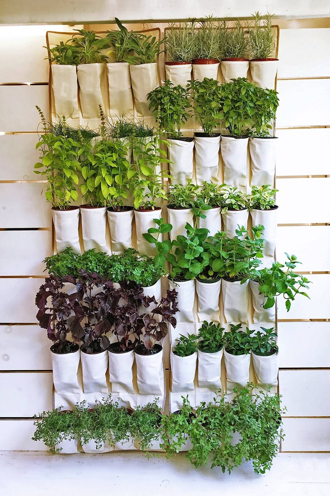 Beautiful Hanging Vertical Garden Ideas