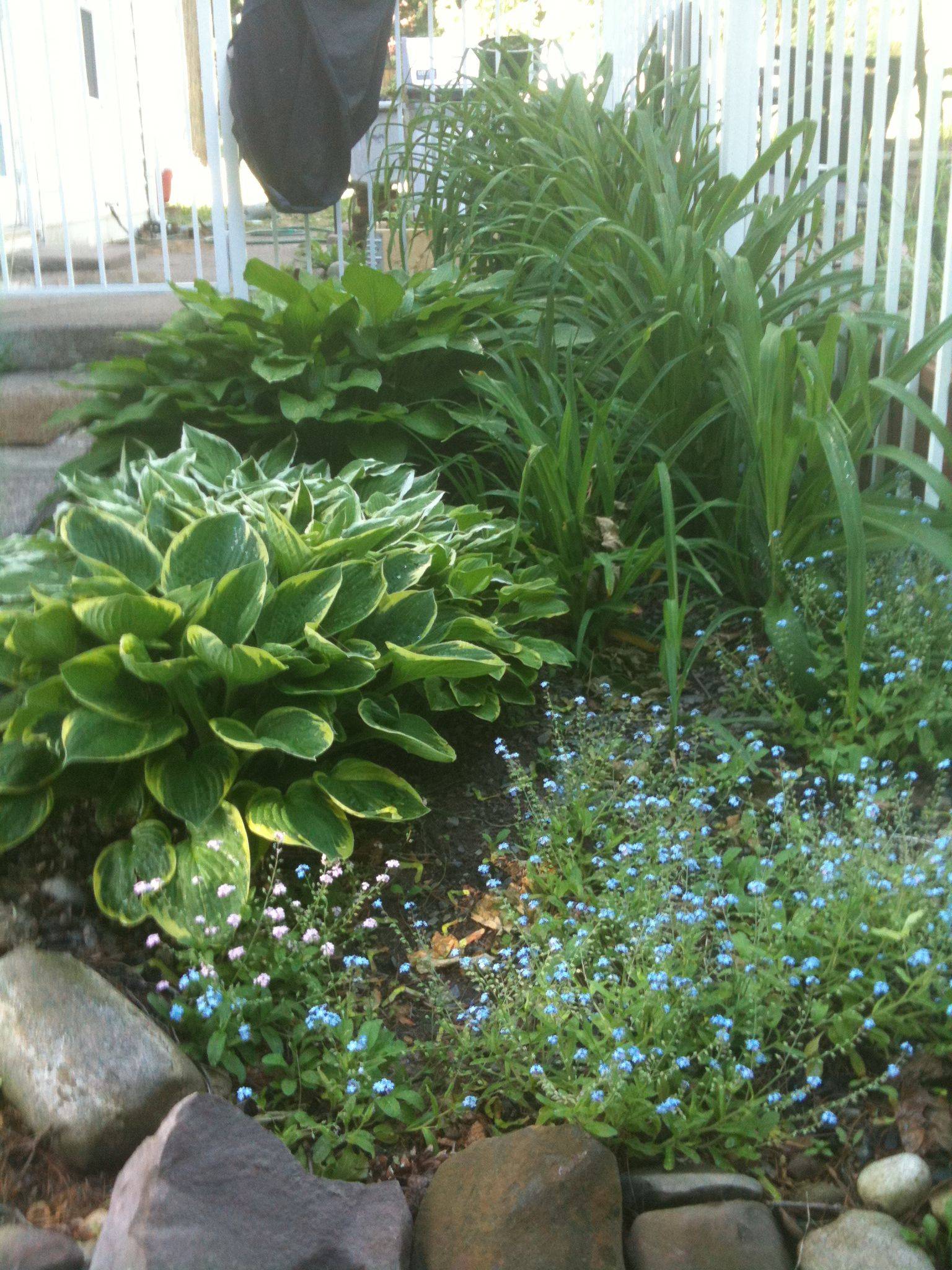 Beautiful Fall Garden Landscaping