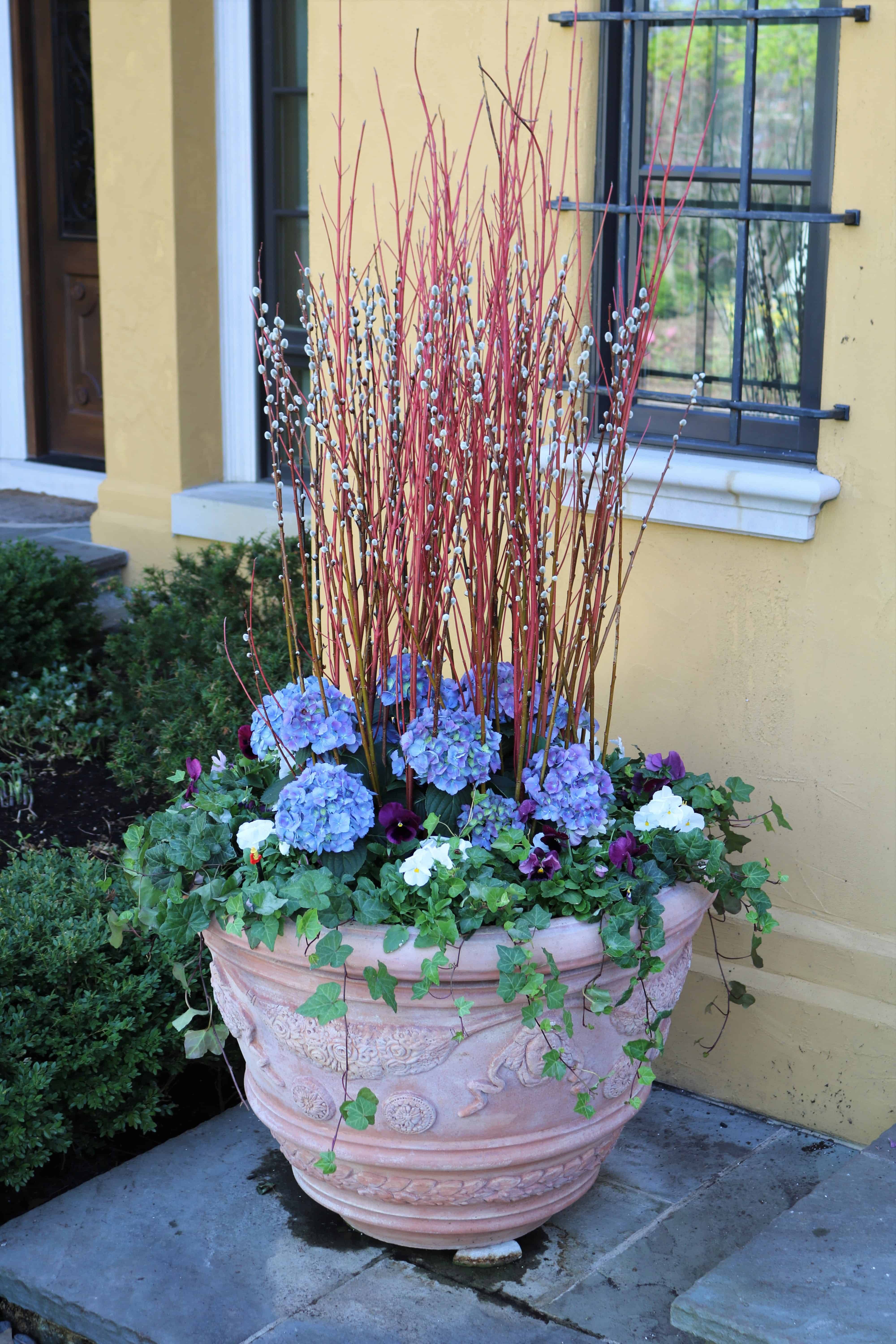 A Better Spring Flower Garden