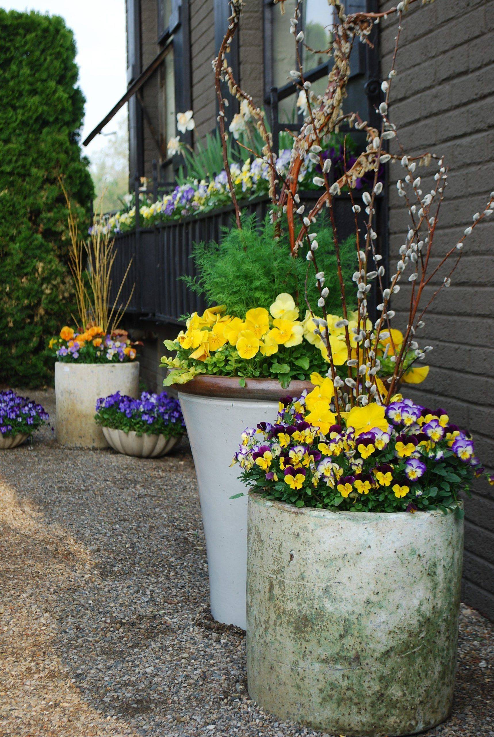 Container Garden Design