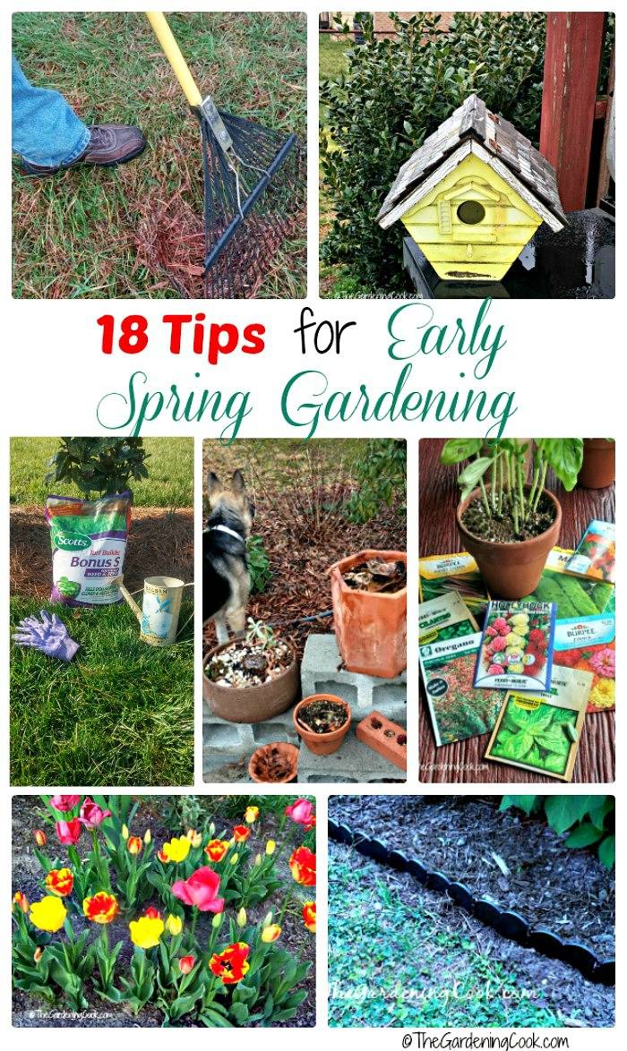 25 Early Spring Garden Ideas You Should Check SharonSable