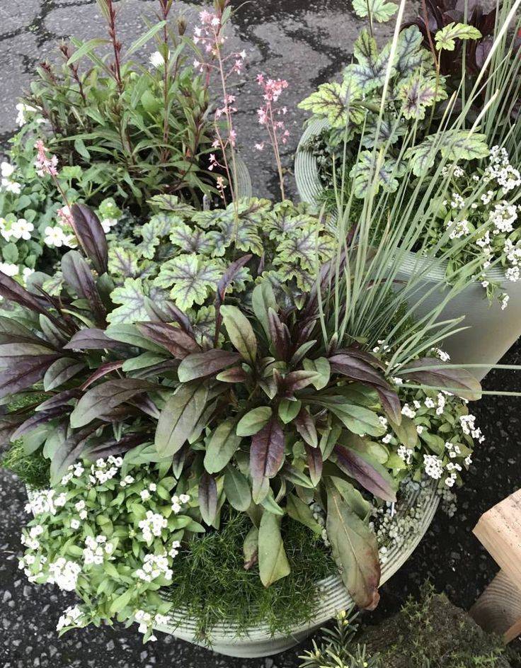 Fountain Garden Landscape Design