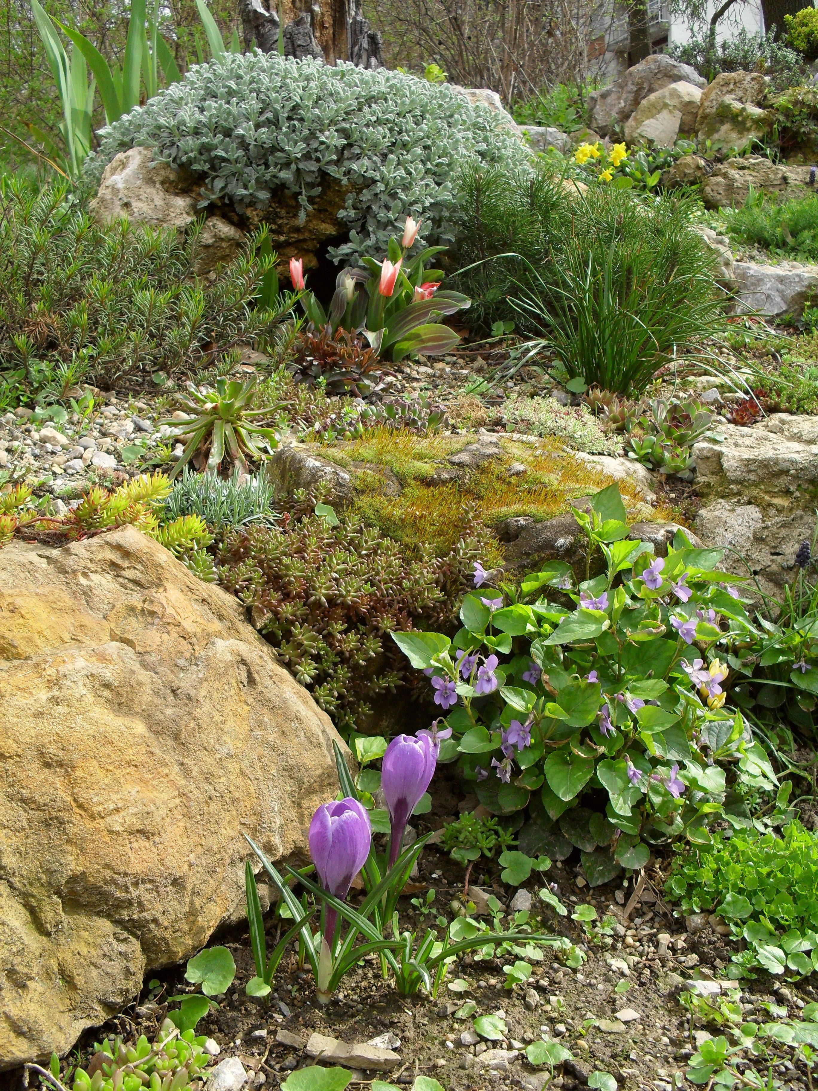 Spring Landscaping