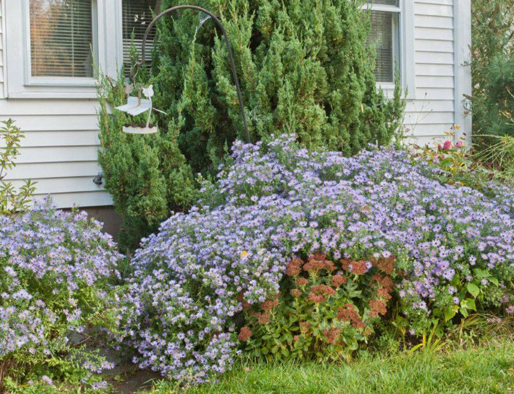 Spring Landscaping