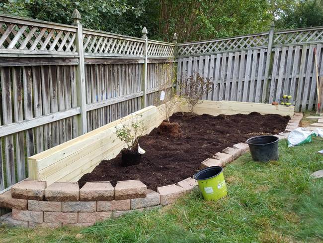 Wood Fence Garden Design Ideas