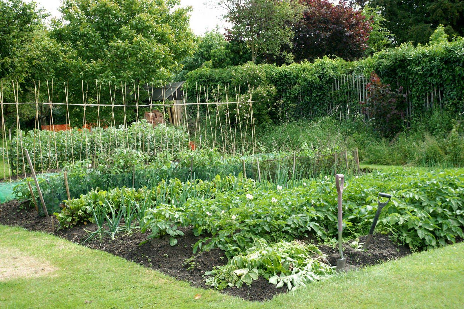 Awesome Vegetable Garden Design Ideas