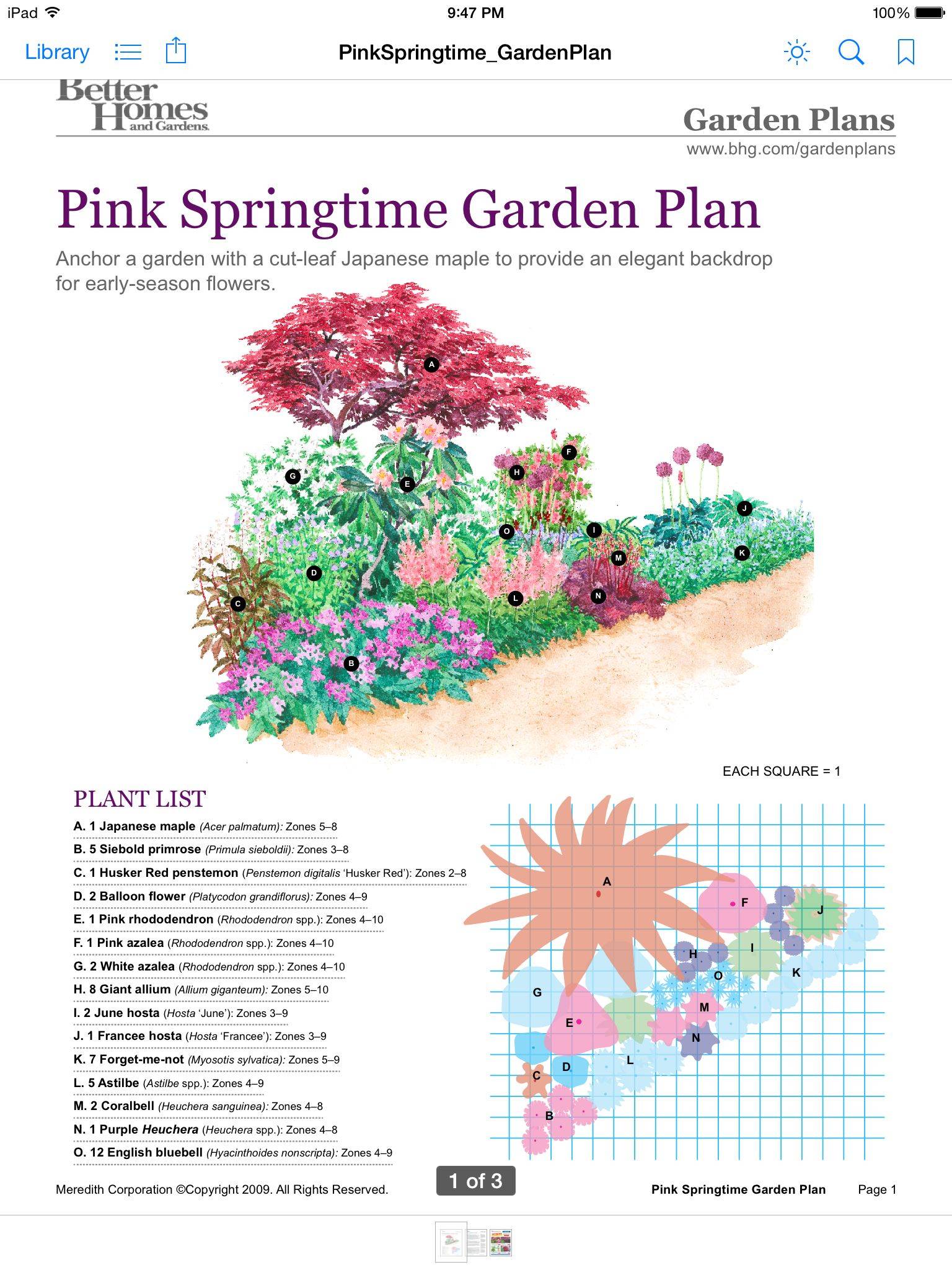 Clay Soil Garden