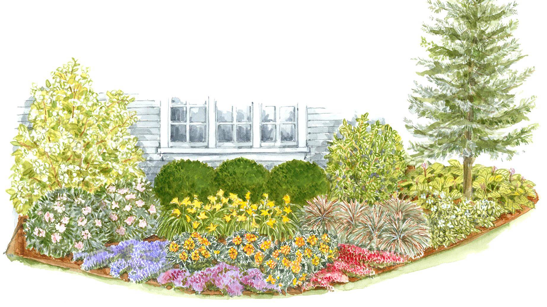 This Easycare Summer Garden Plan Bloom
