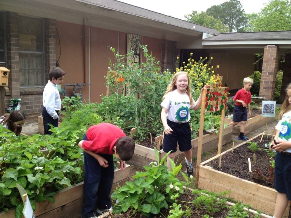 Outdoor Garden Classroom