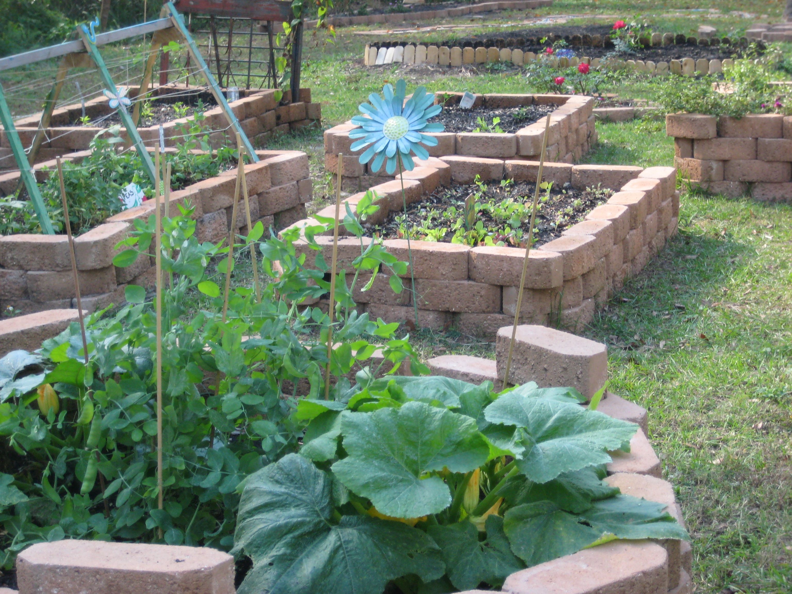 School Garden Ideas