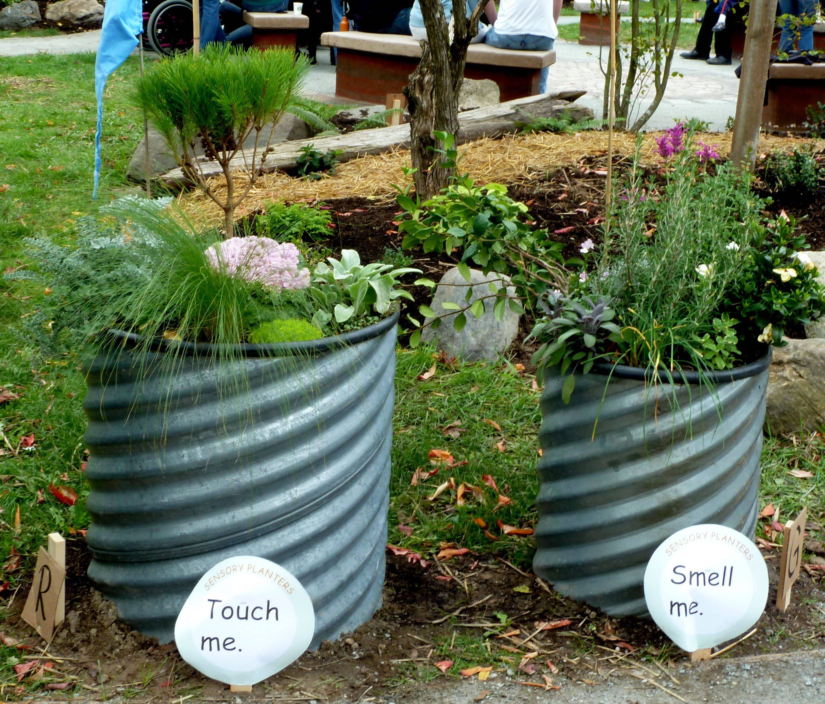 Horsham Special School Sensory Garden Learning Environments