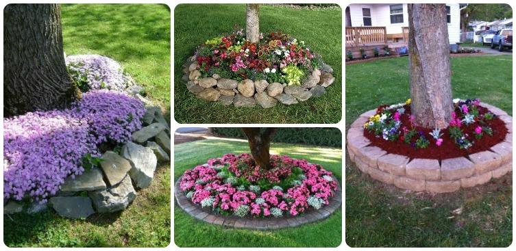 Shrub And Tree Island Beds