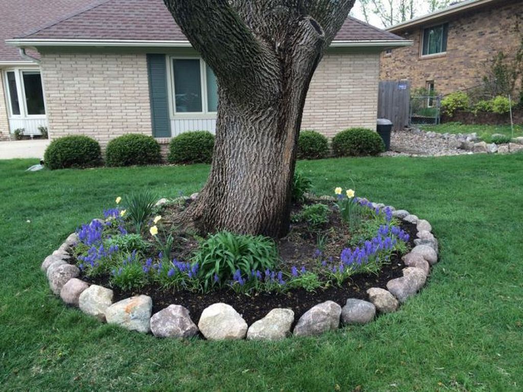 Diy Tree Ring Planter Ideas