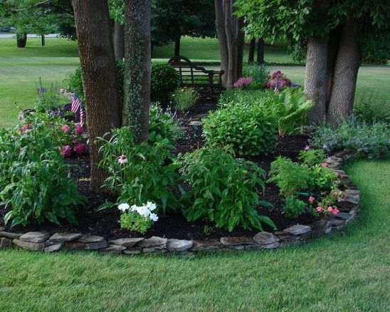 Landscape Perennial Ideas