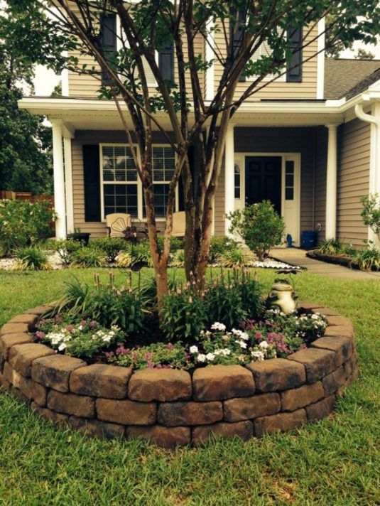 Popular Tree Ring Landscape Design Ideas