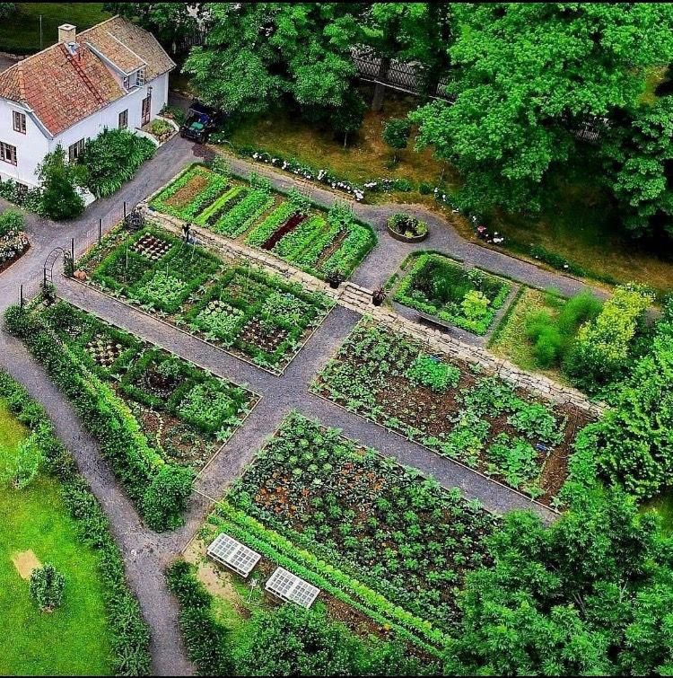 Garden Plan Plot V Vegetable Garden Planner