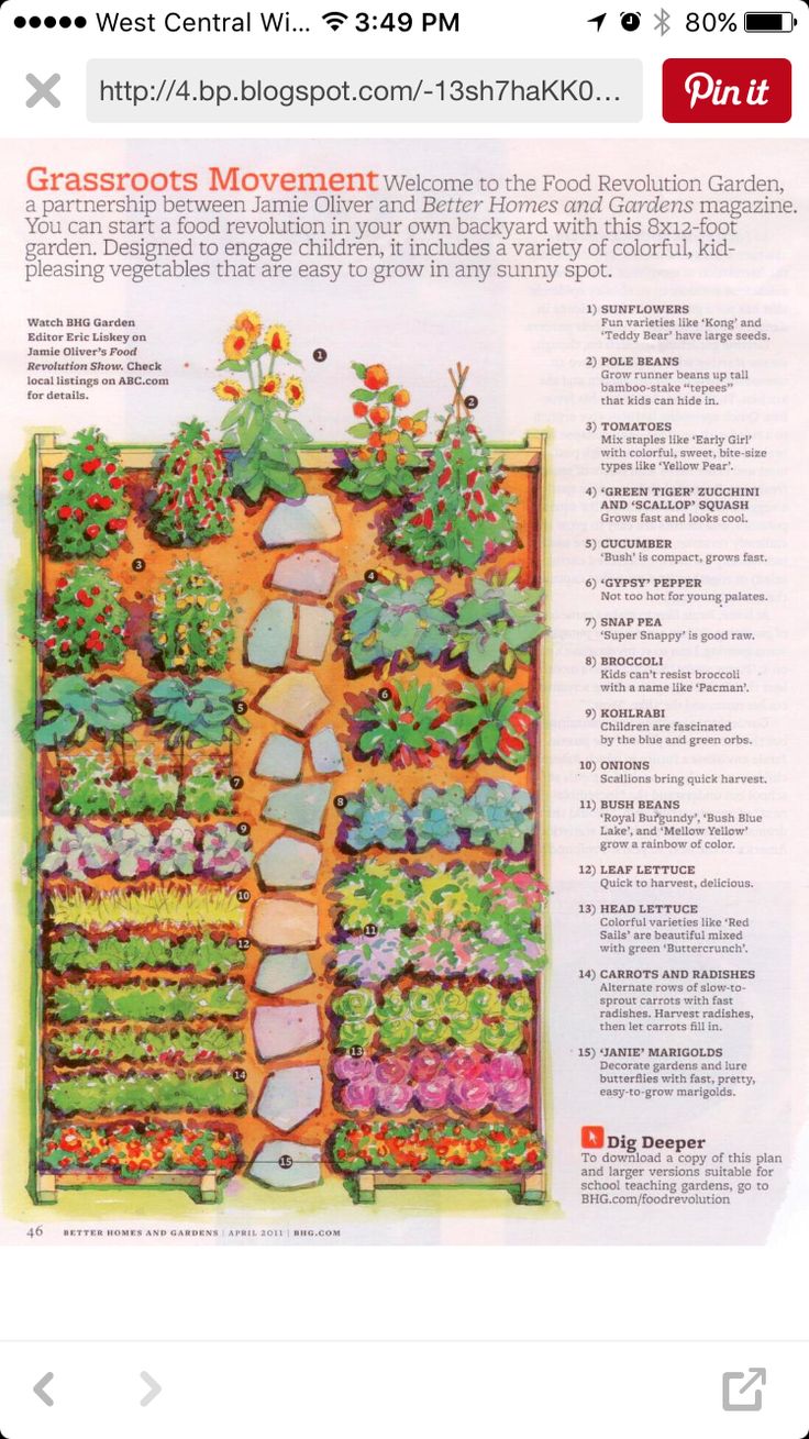 Backyard Farming Small Garden Layout