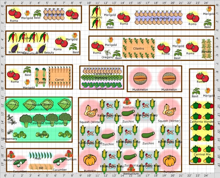 Pinterest Vegetable Garden