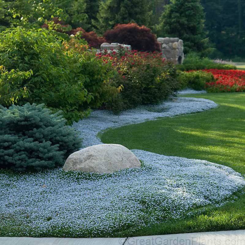 Easy Care Garden Design Heselwurz Ground