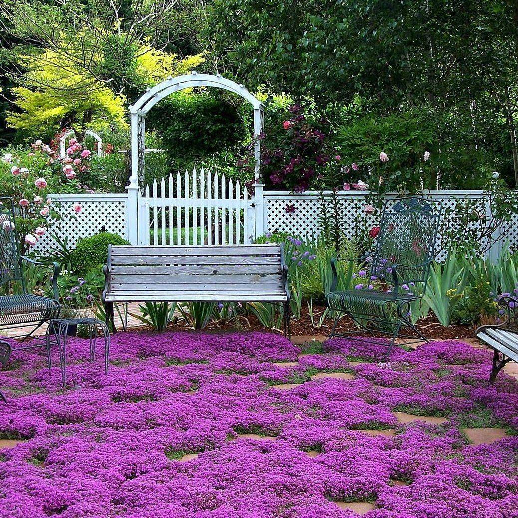 Luxury Stepable Pathway Yard Ideas Ground Cover Plants