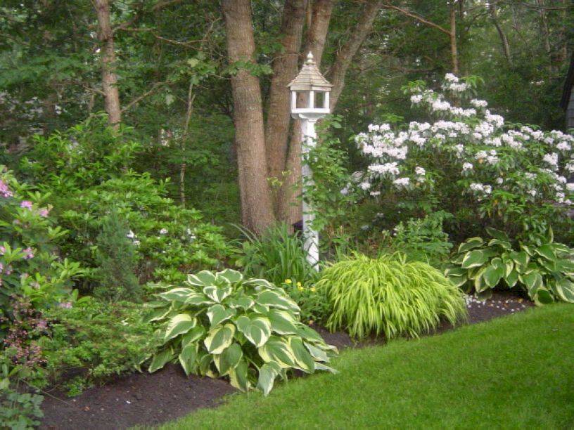 Landscaping Beautifying Yard