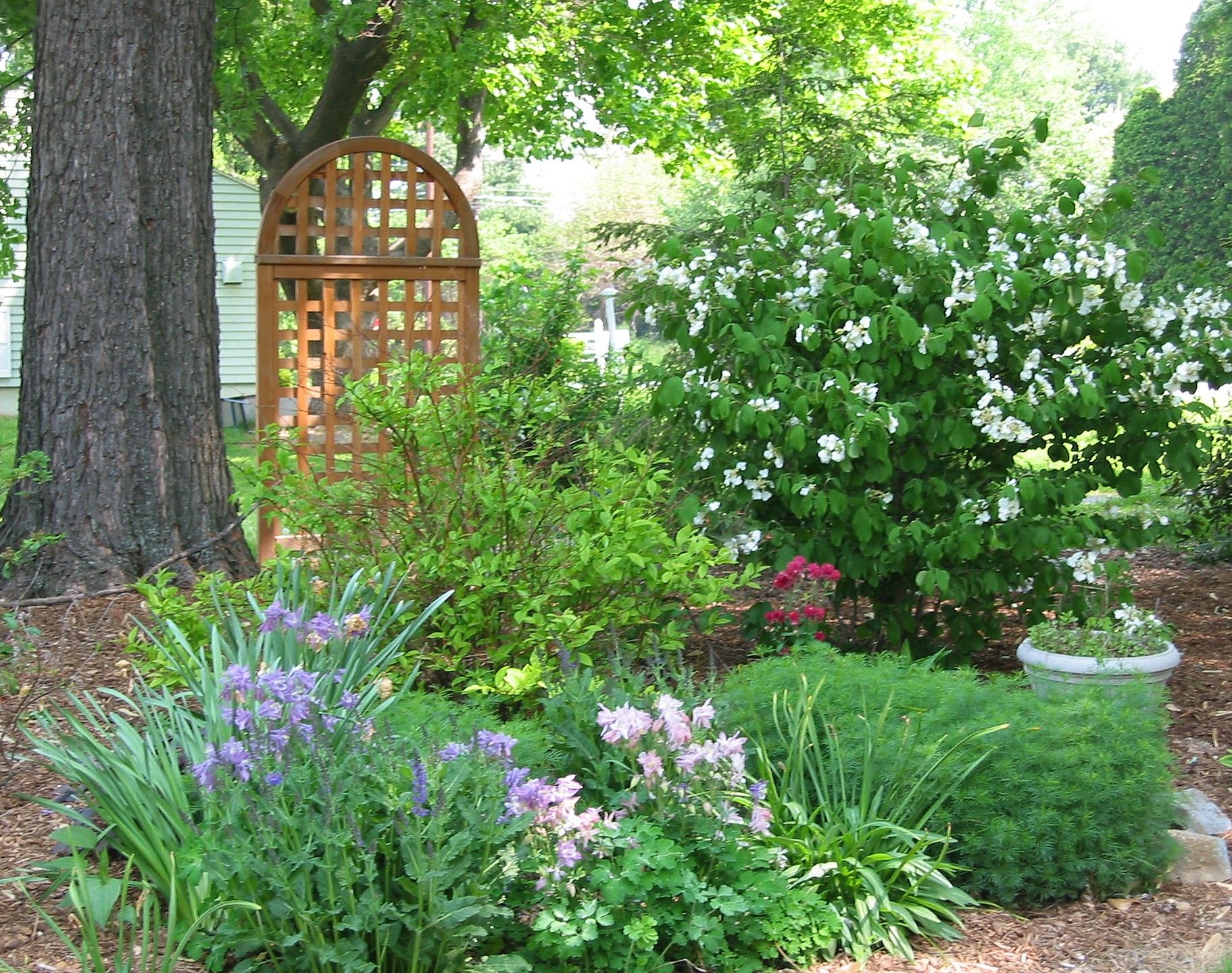 Shade Garden Designs
