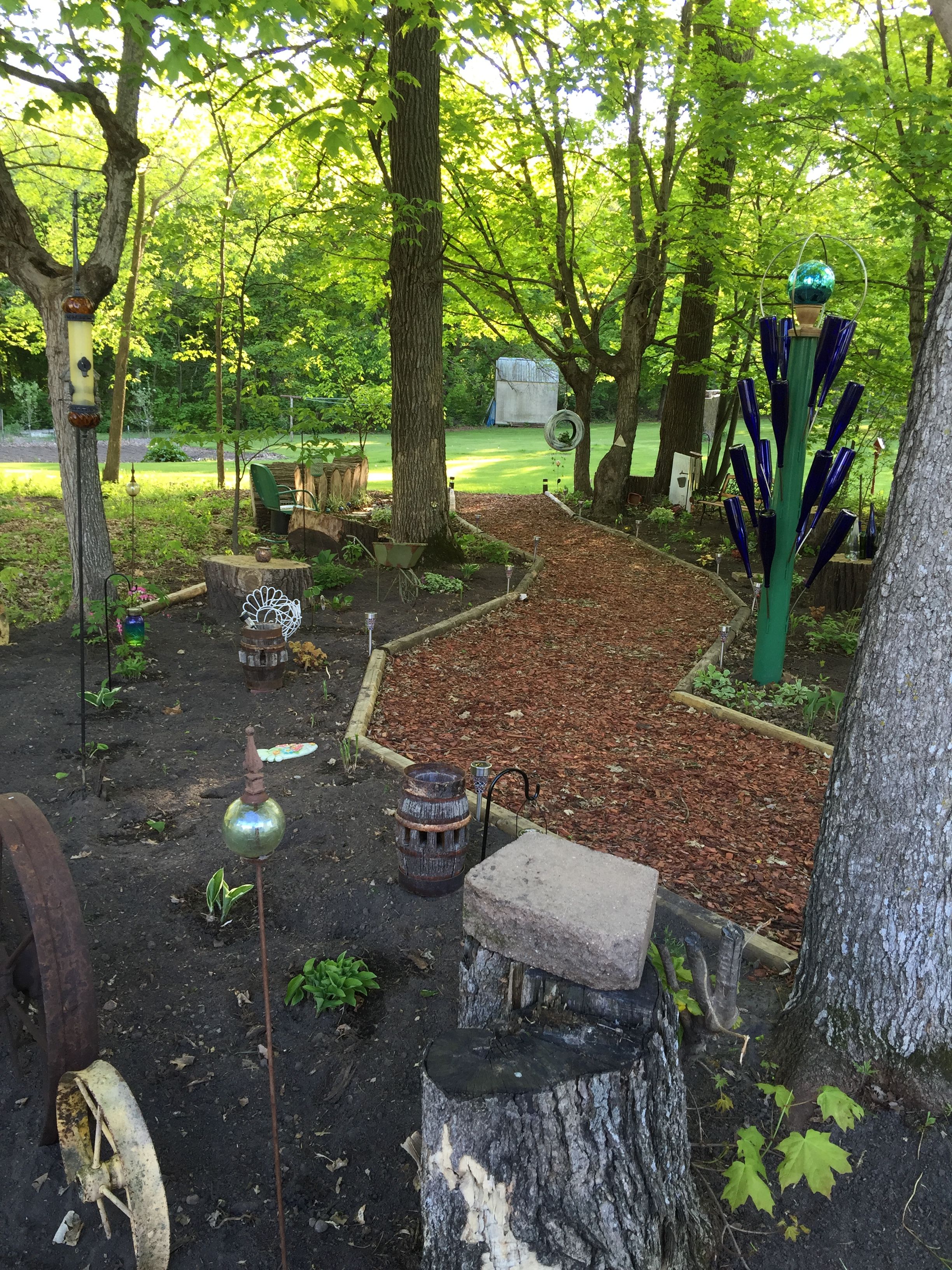 Shade Gardening Forum