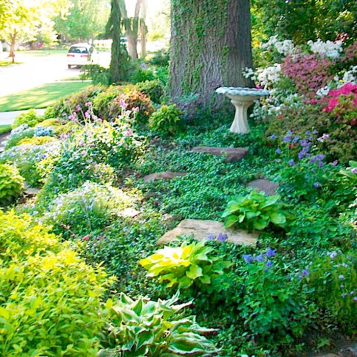 Shady Corner Landscaping Ideas