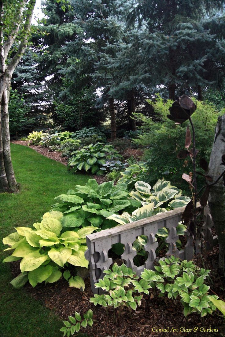 Shady Corner Landscaping Ideas