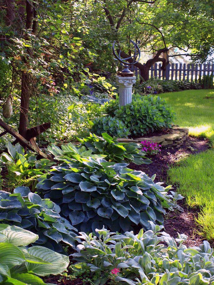 Small Shade Garden