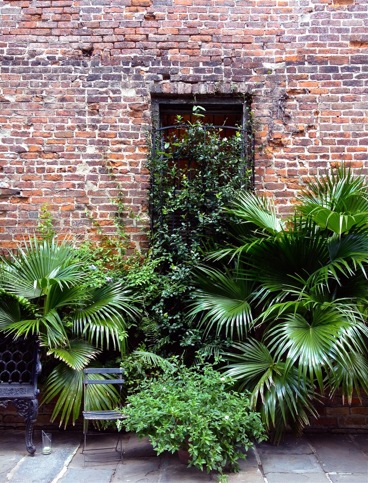 Woodland Vista Garden Ideas