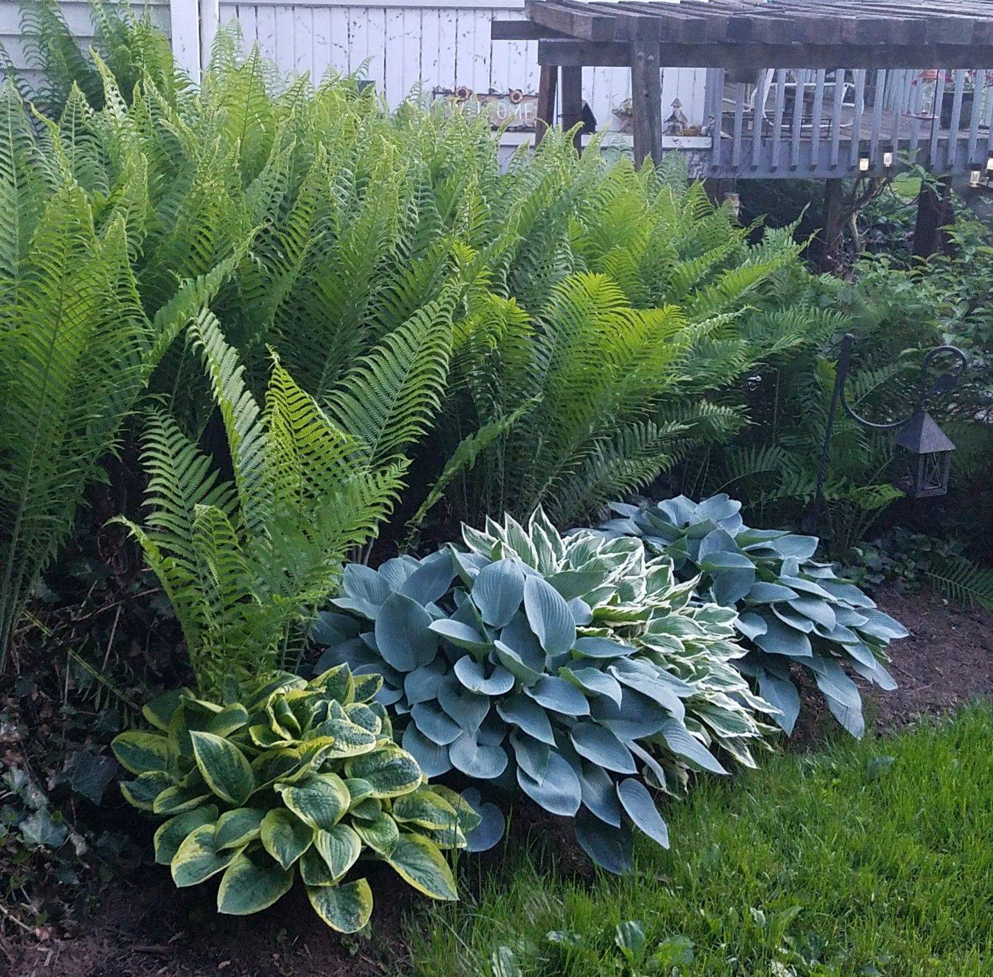 Almost Perfect Landscaping