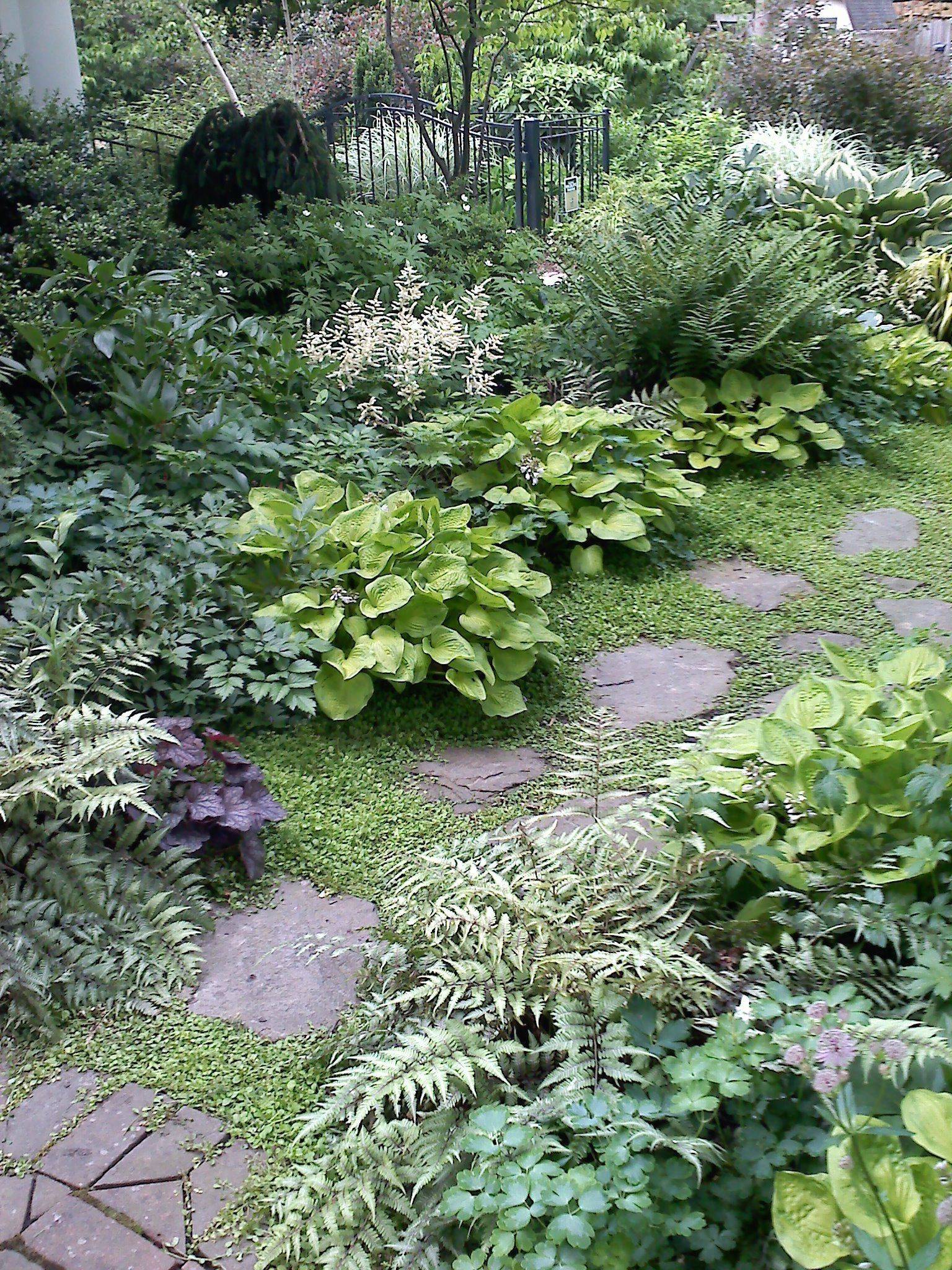 A Shady Border Anne Macfie Garden Design Rustic Style Garden Homify