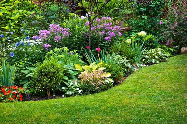 Flowersforshadegardensintexasjpg Perennial Garden