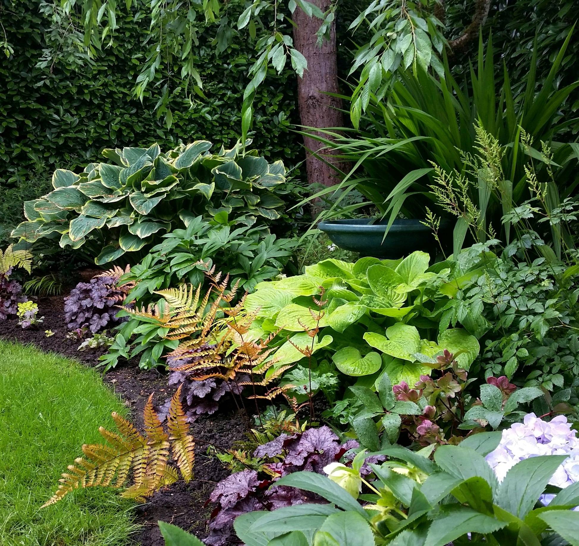 Garden Borders